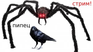 ПРОХОЖУ WEBBED!!!!!!!!!!!!