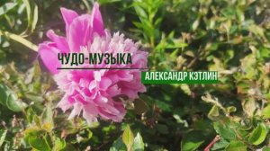 Чудо музыка. Александр Кэтлин (пионы в парке Горького)