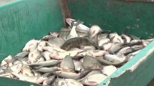 В Астраханской области усилили работу по борьбе с браконьерами