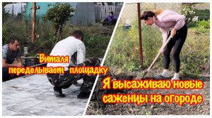 Виталий своими руками делает площадку из тротуарной плитки/Я высаживаю новые саженцы в своём огороде