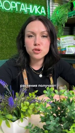 Растения растут сами!