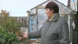 В Верхней Синячихе началась масштабная голодовка