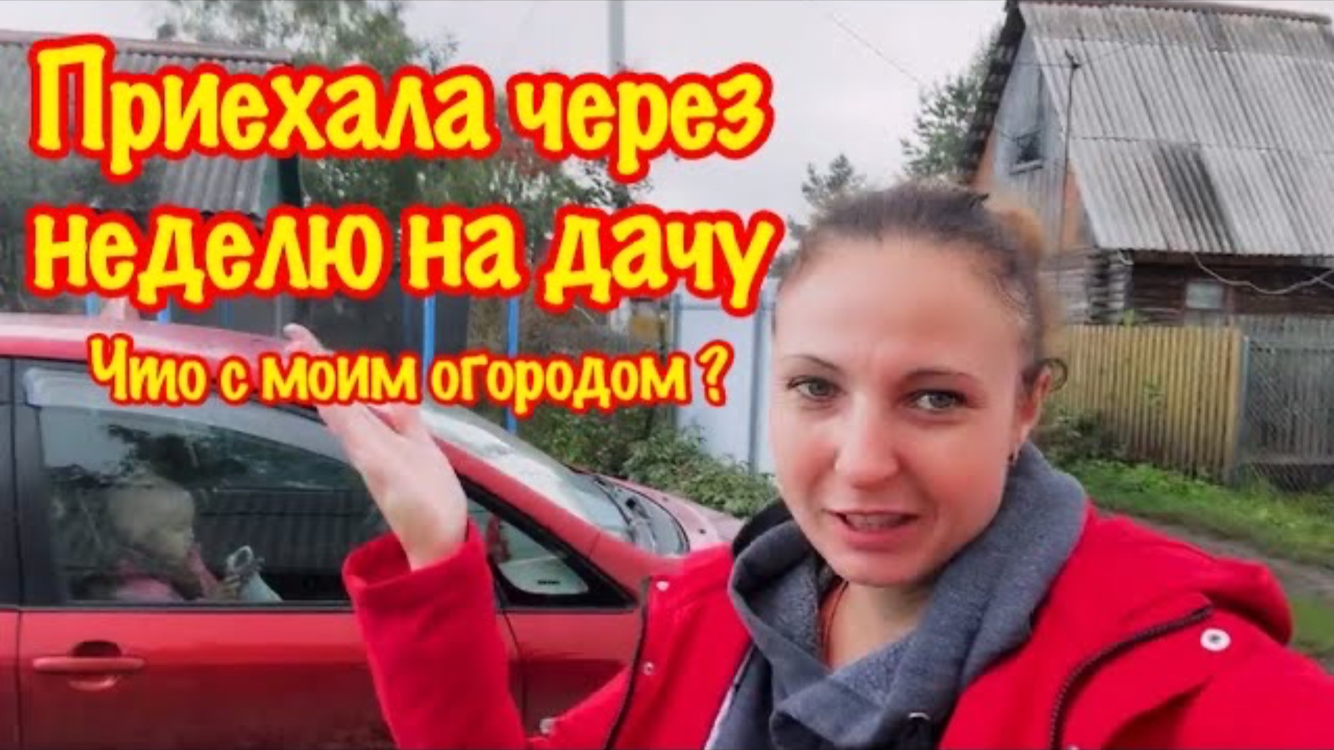 Приехала на разведку на дачу/И как обычно нашла чем заняться/Прогулка по огороду/Обзор огорода