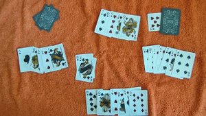 Как играть в дурака (подкидной, переводной, вини винями)