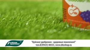 "Буйские удобрения" на Битве теплиц. Акварин.