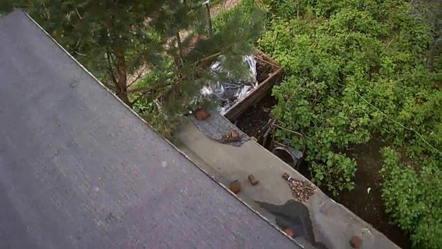 | VLOG | ДОМИК НА ДЕРЕВЕ | BELOBORODOV | смотреть онлайн