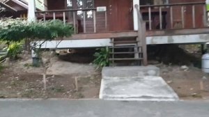 Tubtim Resort, Koh Samet, Thailand