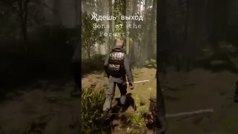 Sons of the Forest Дата выхода 23 февраля 23г.