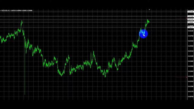 Заработали на BMW X5M за день. NZDUSD Итог сделки.