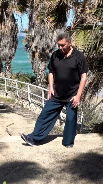 Как тайцзи организует поток энергии в теле смотреть онлайн