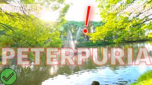 Peterpuria vlog