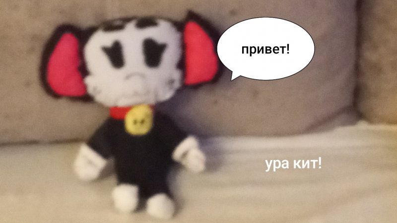 кит🐈⬛