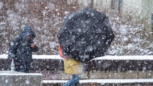 Снежный покров Москве вырастет до 15 сантиметров