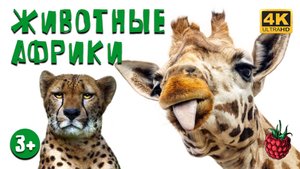 ЖИВОТНЫЕ АФРИКИ для детей! Развивающие мультики для детей!
