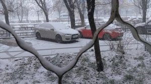 Зима вернулась...