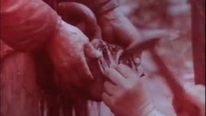 Фитиль №137-1974 год