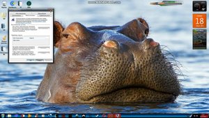 Как решить ошибку 0x81000203- 0x81000202 windows 7 на 100%