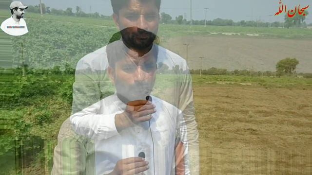 How To Grow Soya Bean In Pakistan | How To Grow Dall Mash In Pakistan | سویا بین اور دال ماش کی فصل