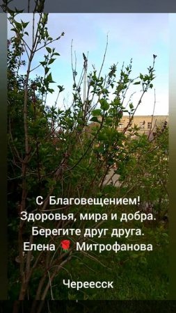 С Благовещением!!!