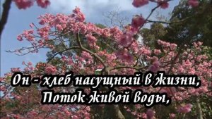 Ксения Лапицкая - Мой Бог мне жизни сила