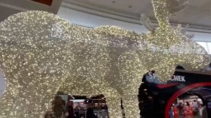 Калгари. Нефтяная столица зимой 2022.