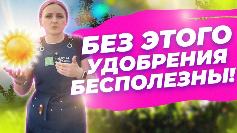ПОДКОРМКИ СРАБОТАЮТ ТОЛЬКО ТАК