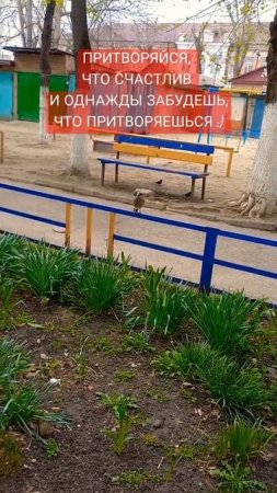 ПРИТВОРИСЬ #статус #птицы #мысли #психология