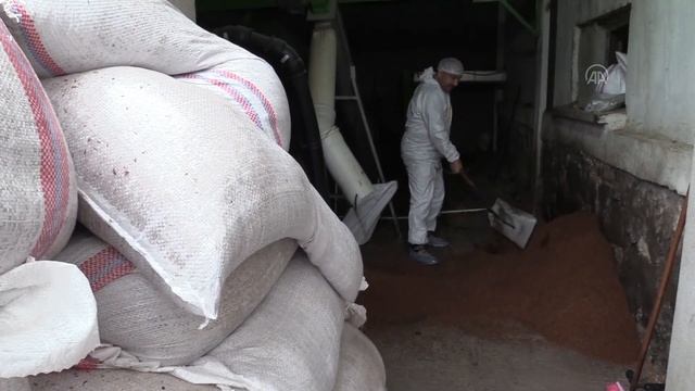 Gökçeada da Adada zeytin işleme tesisi kuran köylüler kalorifer yakıtı üretimine başladı смотреть онлайн