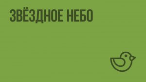 Звёздное небо. Видеоурок по окружающему миру 2 класс