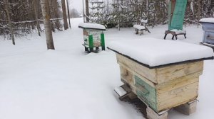 Зима на пасеке ❄️ 🐝
