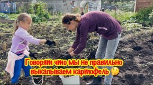 НАШ УРОЖАЙ КАРТОФЕЛЯ 2024/ВЫКОПАЛИ КАРТОШКУ И ЗАПЛАКАЛИ/СКОЛЬКО МЫ ВЫКОПАЛИ КАРТОФЕЛЯ /УРОЖАЙ 2024