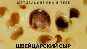 метод швейцарский сыр