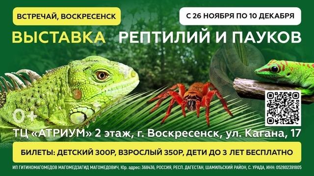 ТРАНСМЕДИА - Выставка рептилий