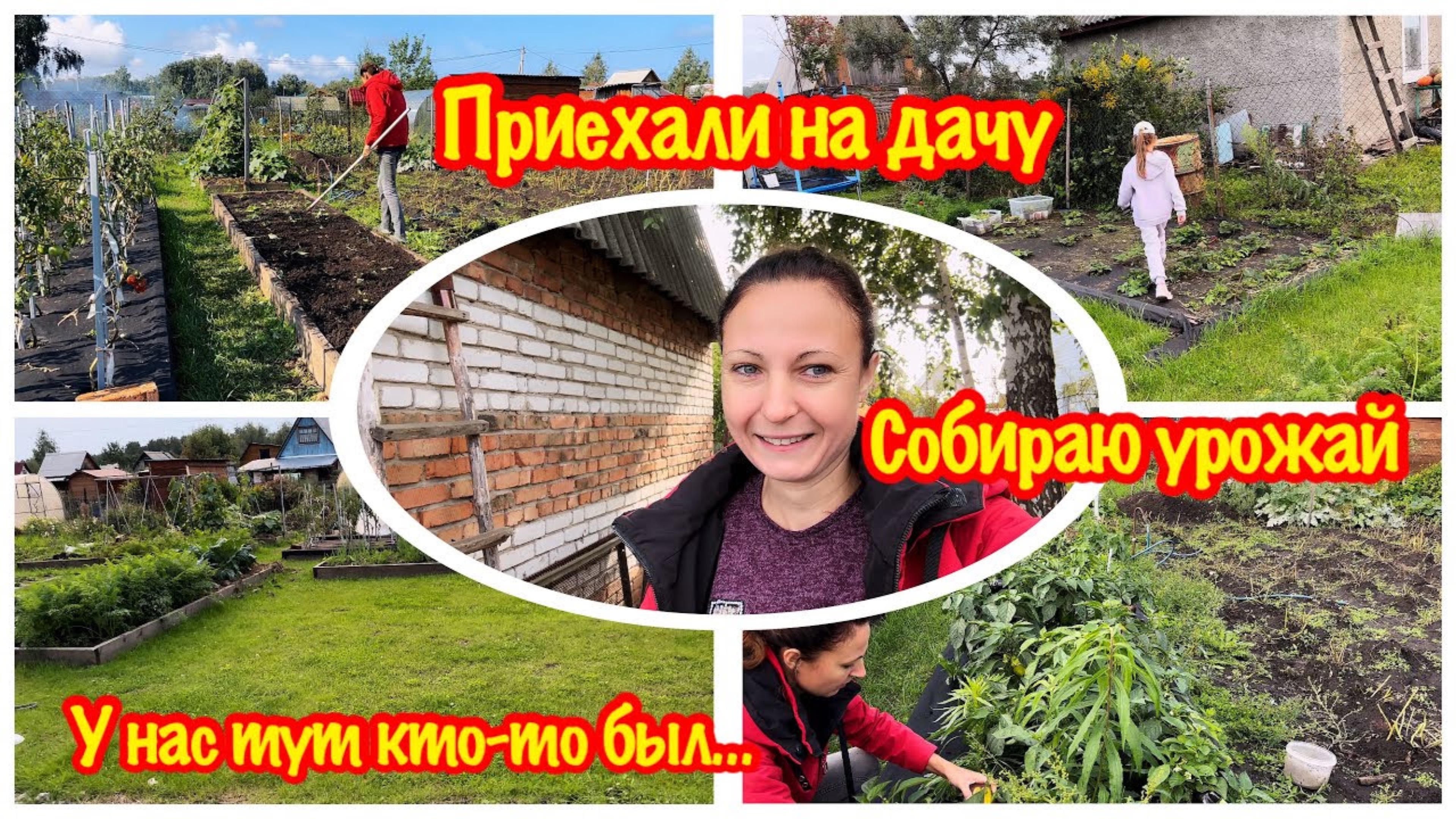 ПРИЕХАЛИ НА ДАЧУ ЧЕРЕЗ НЕДЕЛЮ…/У НАС КТО-ТО ПАКАСТИЛ НА ДАЧЕ/СОБИРАЮ УРОЖАЙ ПЕРЦА/МОЙ УРОЖАЙ ПЕРЦА