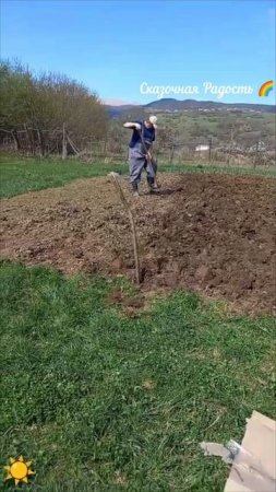Дачный сезон открыт! Дагестан 2025 год