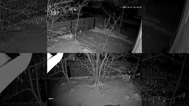 Лиса смотреть онлайн