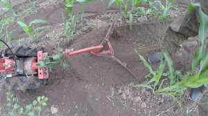 Мотоблок Кутаиси с родным окучником