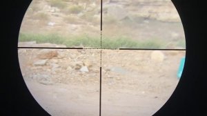 ( lelya 2.0 caliber 5.5 the target is ( 43m