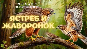 Михаил Пришвин Ястреб и жаворонок
