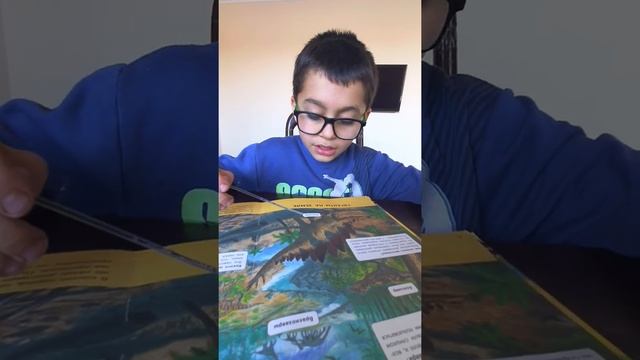 Динозавры. Какие они были Аллозавр(1часть) смотреть онлайн