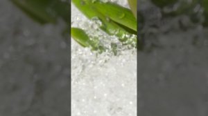 Зима в апреле