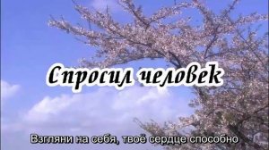Ксения Лапицкая - Спросил человек
