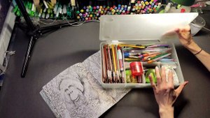 Хобби-VLOG:#7/совместное раскрашивание/Керби Розанес