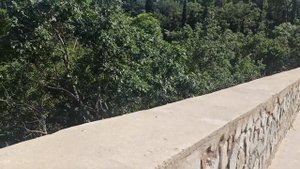 Экскурсия на сыроварню. Алушта. Купила сыр.