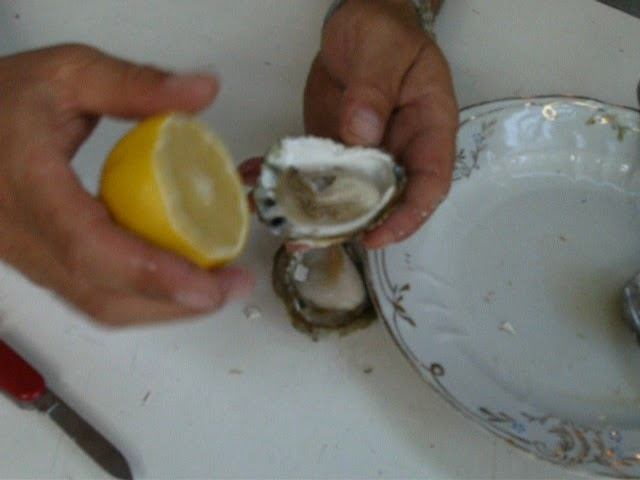 USTRICI смотреть онлайн