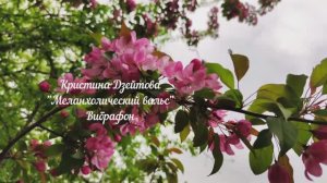 Меланхолический вальс. Кристина Дзейтова