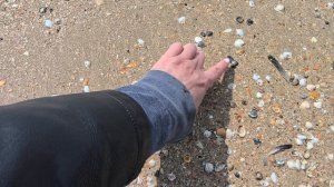 пляжи Анапы 07.04.2025. 1-й проезд