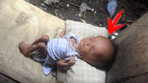 Эту малышку бросили на улице, но судьба ей дала второй шанс!