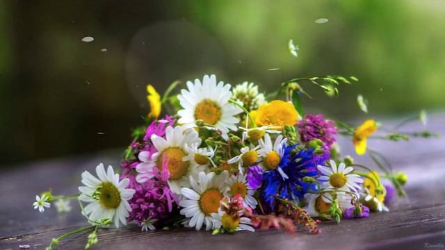 Полевые цветы. Не дари мне цветов покупных....Пожелание смотреть онлайн