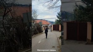 Не курортная Ялта частный сектор, улицы Садовая, Ленинградская. Крым весенний 🍎 #searuss #мисхор